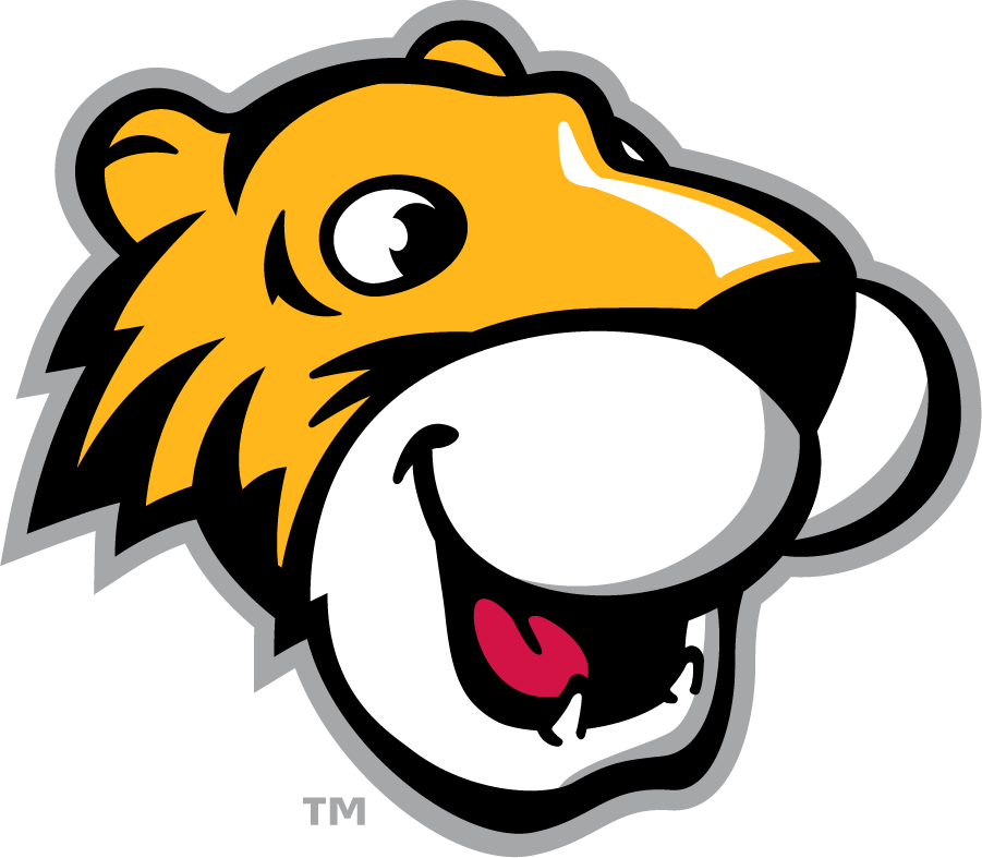 Towson Tigers 2002-Pres Mascot Logo v2 diy DTF decal sticker